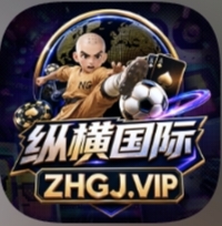 纵横国际  